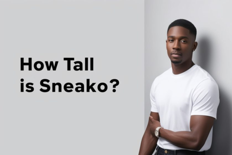 sneako height