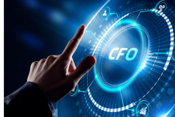 Virtual CFO Services