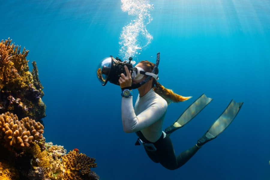 Ultimate Snorkeling